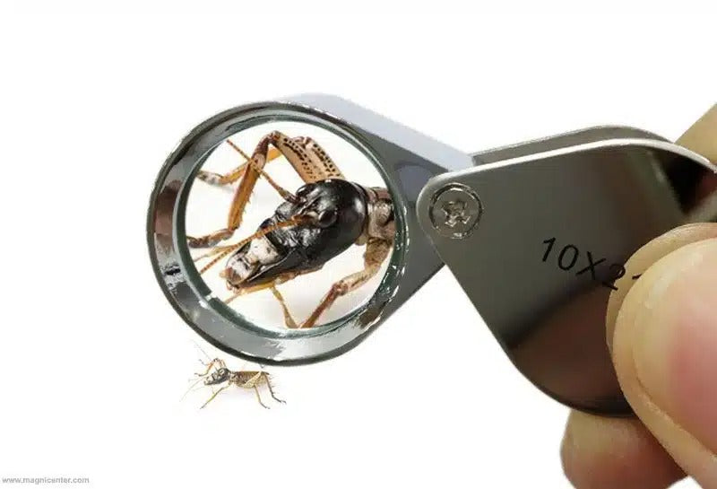 Lupa joyero 10X plegable compacta para precisión en Madrid